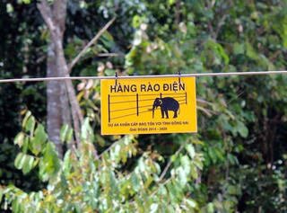 Đồng Nai: Dựng 50 km hàng rào điện ngăn voi dữ