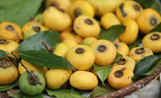 Bước chân cô Tấm