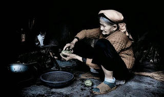 Bóng mẹ đầu đông