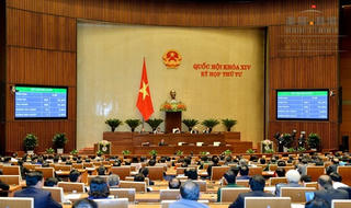 Sôi động 365 ngày và sự đồng thuận toàn dân