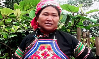 Những bước chân vượt đại ngàn