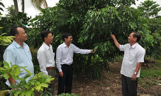 Cần Thơ: Phát triển không gian kinh tế và dự án mang tính chất của vùng