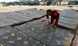 Làng bánh đa 300 năm tuổi xứ Nghệ