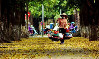 Hà Nội, Tết và những  gánh hàng rong 