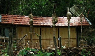 Giữ lửa nhịp xòe ở Bắc Hà