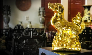 Bí mật về 'linh khuyển trấn an gia'