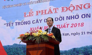 Phát động Tết trồng cây đời đời nhớ ơn Bác Hồ