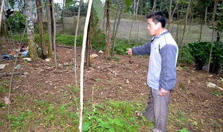 Thành triệu phú  nhờ săn “vàng đen” Tây Bắc