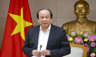 'Không được cài cắm câu chữ  để “gài bẫy” doanh nghiệp'