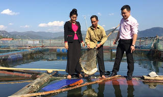 Sơn La:  Phát huy hiệu quả từ vốn vay ưu đãi