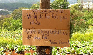 Du khách thiếu ý thức, nông dân khóc ròng
