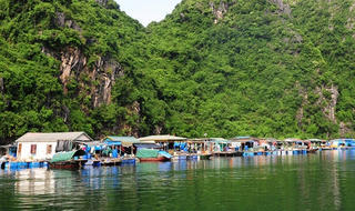 Gìn giữ, phát huy Vịnh Hạ Long như thế nào? (Kỳ I): Làng chài đẹp nhất thế giới chỉ còn trong tưởng tượng
