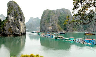 Gìn giữ, phát huy 'tài sản đặc biệt' Vịnh Hạ Long (Kỳ 2): Ngư dân tìm đường về biển