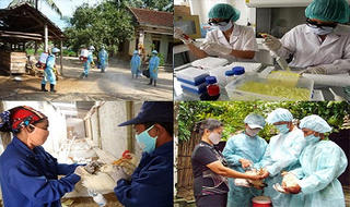 Thực hiện quyết liệt các biện pháp phòng chống dịch bệnh năm 2018