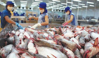 Bộ trưởng NN&PTNT làm việc với EU, kêu gọi gỡ bỏ “thẻ vàng”