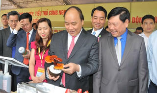 Thủ tướng Nguyễn Xuân Phúc: Không để 'ký kết thì rầm rộ, triển khai chẳng được bao nhiêu'