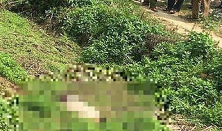 Kẻ sát hại con trai người tình khi bị bắt có dấu hiệu hoảng loạn tinh thần