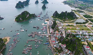 “Băm quy hoạch”