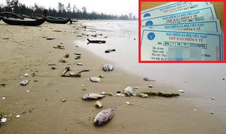 Thừa Thiên - Huế: Hỗ trợ hơn 6 tỷ đồng mua thẻ BHYT cho đối tượng bị ảnh hưởng bởi sự cố môi trường biển