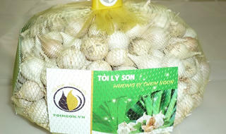 Cần 'danh phận' riêng cho tỏi Khánh Hòa