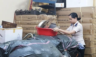 Quan tâm xây dựng kho vật chứng ở các chi cục THADS