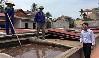 Nước mắm Quang Hải và nỗ lực giữ vị truyền thống của quê hương