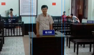 Kỳ án 6 năm, 6 phiên tòa loay hoay buộc tội kỹ sư lâm nghiệp hủy hoại 60 cây thông