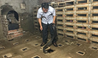 Thành tỷ phú nhờ loài bò sát “máu lạnh”