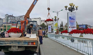 Nhiều hoạt động kỷ niệm 125 năm hình thành và phát triển TP Đà Lạt