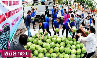 Giải cứu nông sản: Điểm yếu cố hữu của ngành Nông nghiệp và Công Thương