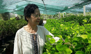 Người phụ nữ biến “vùng đất chết” thành “thiên đường dược liệu”
