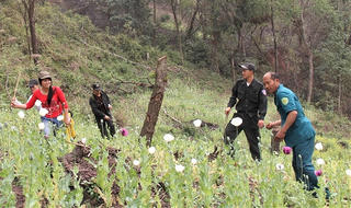 Chàng trai giúp điểm nóng ma túy Sơn La 'thay da đổi thịt'