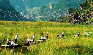 Du lịch sinh thái gắn với nông nghiệp: Làm gì để tạo bước đột phá?