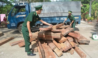 Quyết liệt đấu tranh chống buôn lậu gỗ ở Tây Nguyên