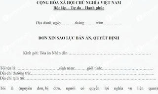 Trích lục tài liệu trong hồ sơ thi hành án thế nào?