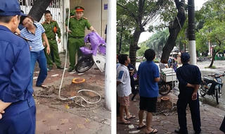 Cưa trộm cây sưa đỏ trên phố Phan Kế Bính (Hà Nội) giữa đêm mưa