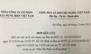 Doanh nghiệp kêu cứu vì bản án liên quan đến Hứa Thị Phấn và đồng phạm