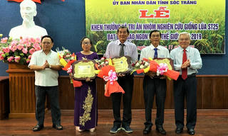 Điều ít biết về giống gạo Việt ngon nhất thế giới: Kết tinh 'mối tình' Nam Bắc