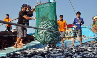 Lênh đênh Tết ngư dân