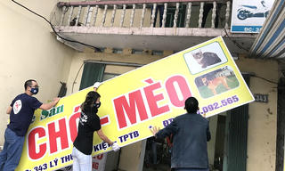 Xa rồi tiếng kêu thất thanh của động vật tội nghiệp
