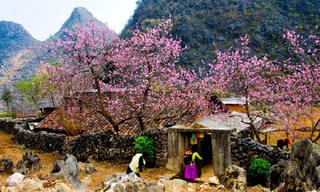 Du xuân không quên phòng dịch