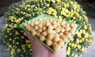 Quà quê xứ Nghệ