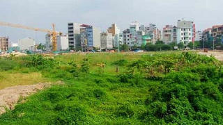 Xử lý các dự án, công trình vi phạm pháp luật đất đai