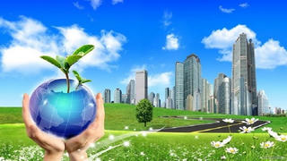 Dự án đầu tư sử dụng đất phải bảo đảm không làm ô nhiễm, thoái hóa chất lượng đất