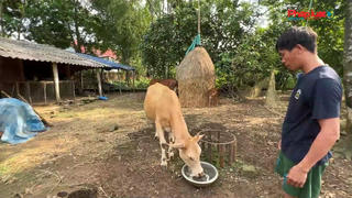 Tản Lĩnh, Ba Vì: Người dân xóm Ao Trạch kêu “Trời” khi nguồn nước sinh hoạt có dấu hiệu ô nhiễm