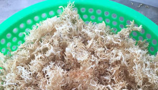 Độc đáo mứt rong hồng vân xứ biển Thái An