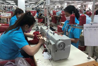 Khánh Hòa tạo điều kiện cho các hội viên phụ nữ vay vốn phục hồi sản xuất