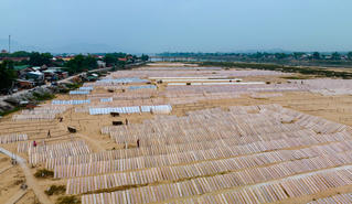 Bình Định bảo tồn và phát triển làng nghề, sản phẩm đặc trưng gắn với phát triển du lịch 