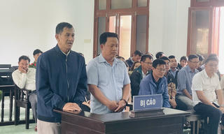 Phú Yên: Vi phạm các quy định về quản lý đất đai, cựu Phó Chủ tịch UBND thị xã Sông Cầu lãnh án