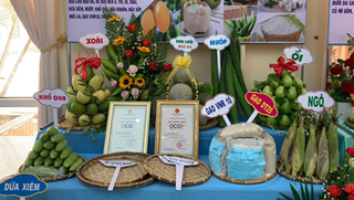 Bình Định thực hiện mô hình chuỗi liên kết sản xuất, tiêu thụ và chế biến sản phẩm nông nghiệp